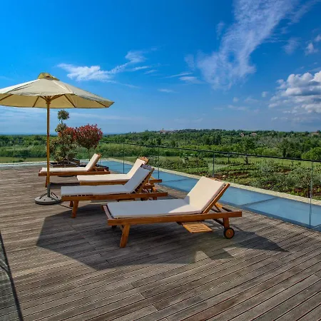 Stately In Baderna With Private Full Size Pool Villa Stifanići